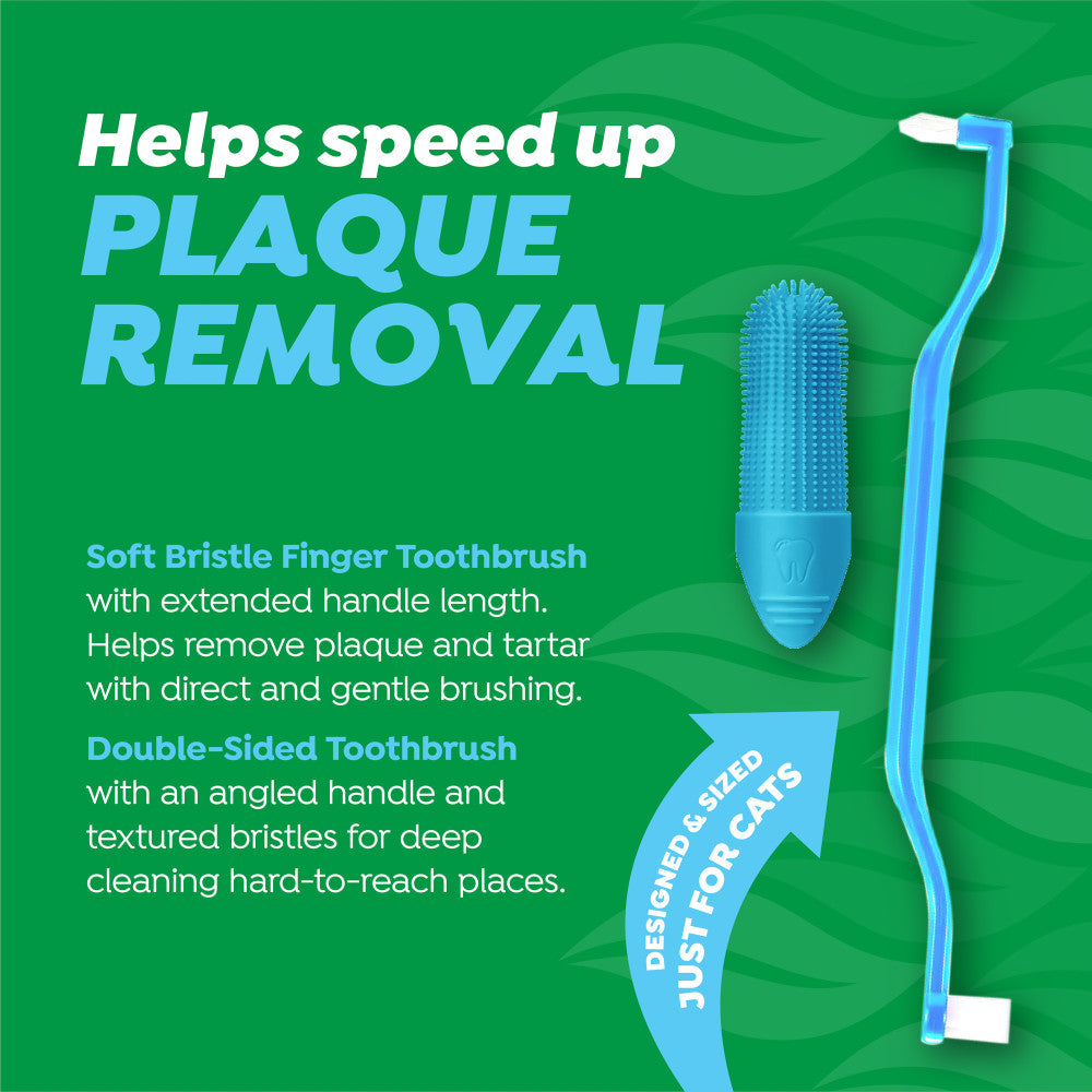 Cat toothbrushes included in the kit with text description
