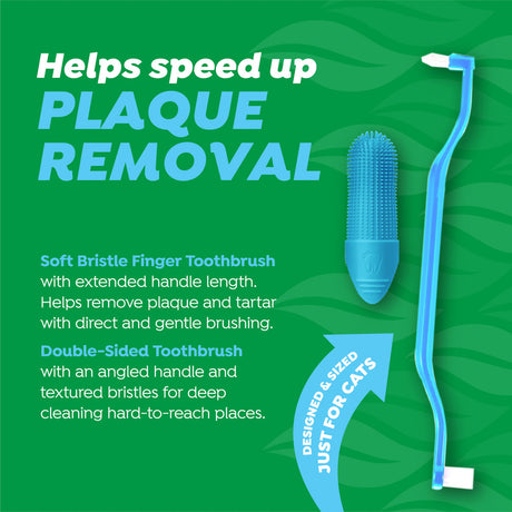 Cat toothbrushes included in the kit with text description