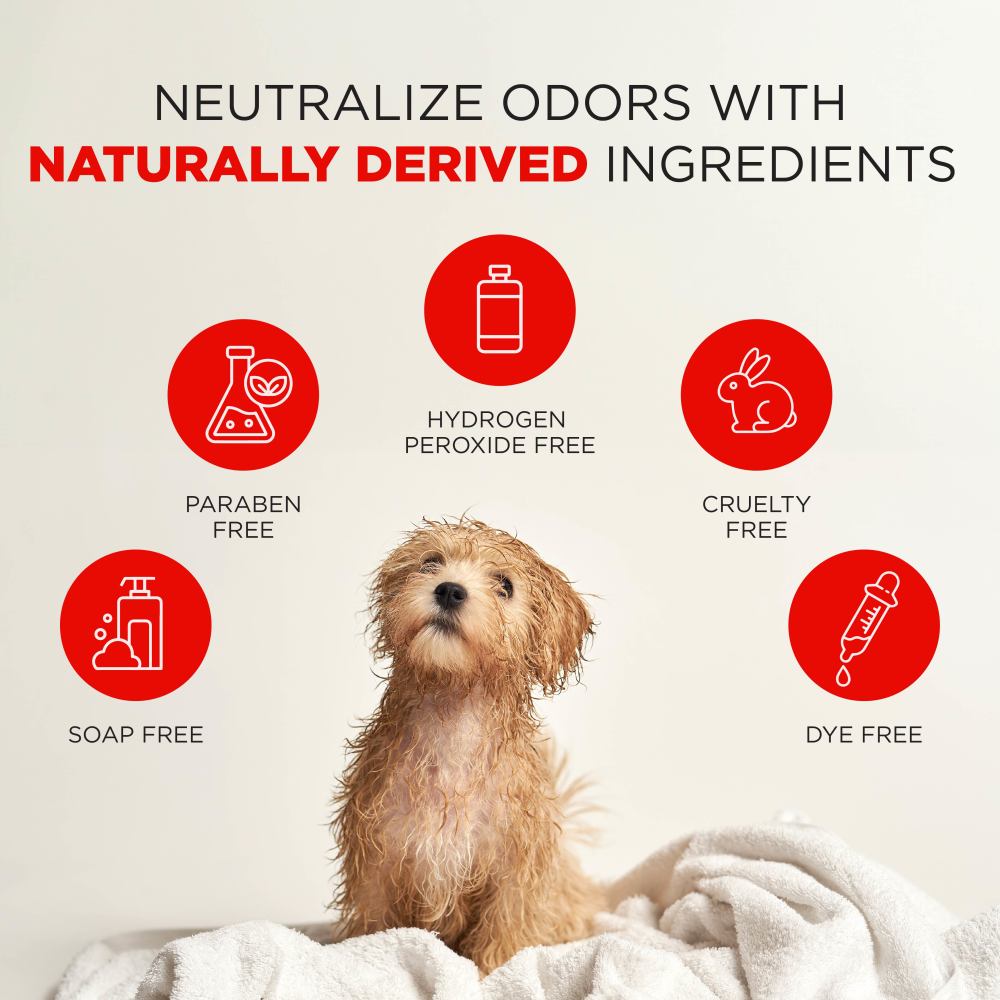 Dog sitting on a blanket with icons and featured ingredients of TropiClean Skunk Odor Control Shampoo for Dogs & Cats