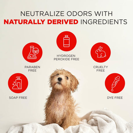 Dog sitting on a blanket with icons and featured ingredients of TropiClean Skunk Odor Control Shampoo for Dogs & Cats