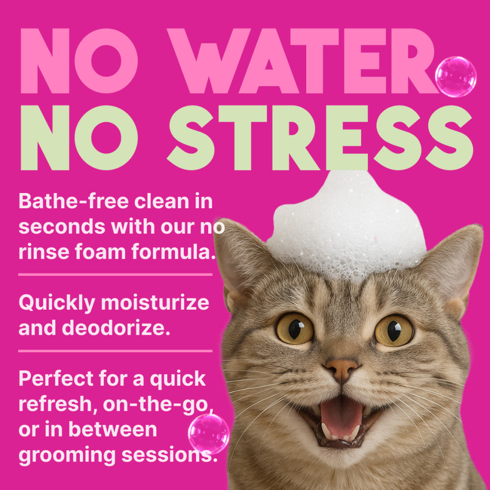 Cat with suds on its head against a pink background with text about a no water, no stress product.