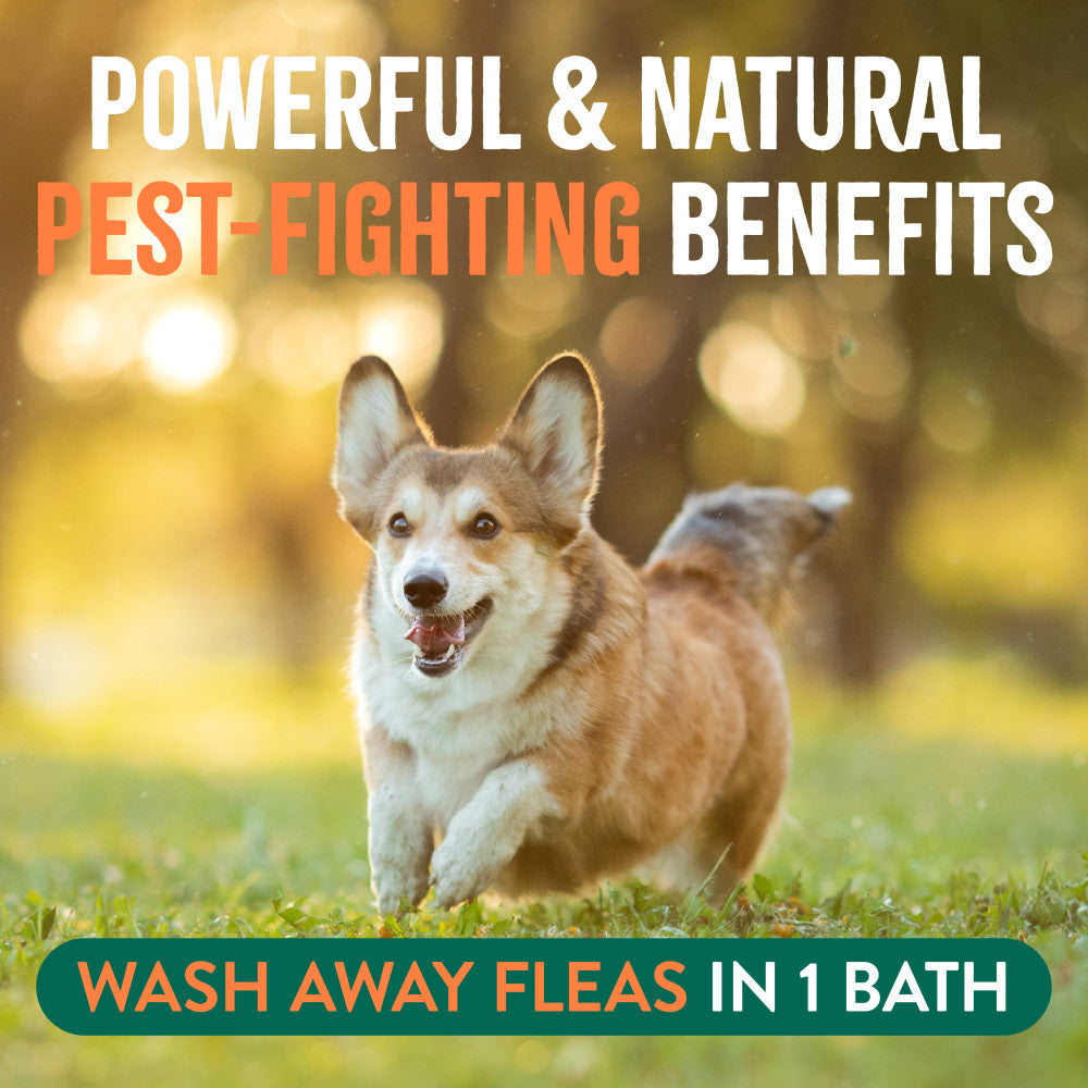 Dog running on grass with text about pest-fighting benefits and flea removal with Tropiclean Natural Flea + Tick soothing dog shampoo.