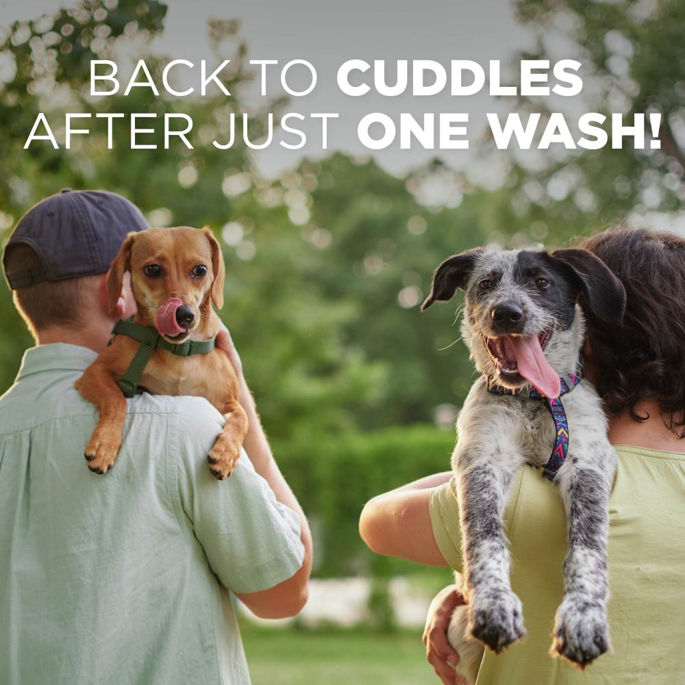 Two people holding dogs with text 'Back to cuddles after just one wash!' in a park setting.