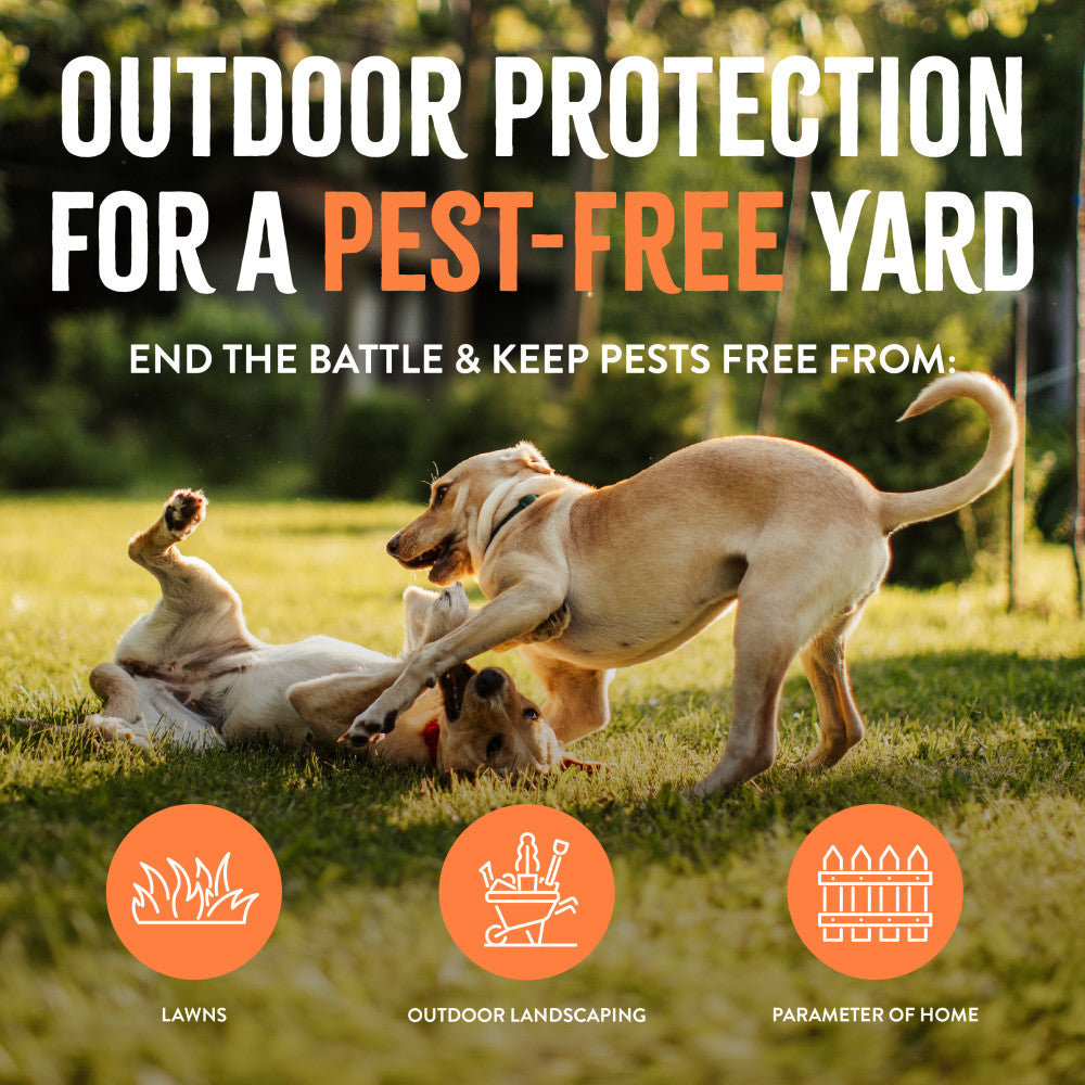 TropiClean Natural Flea + Tick Yard Spray. Two dogs playing in a grassy yard with text about outdoor pest protection.