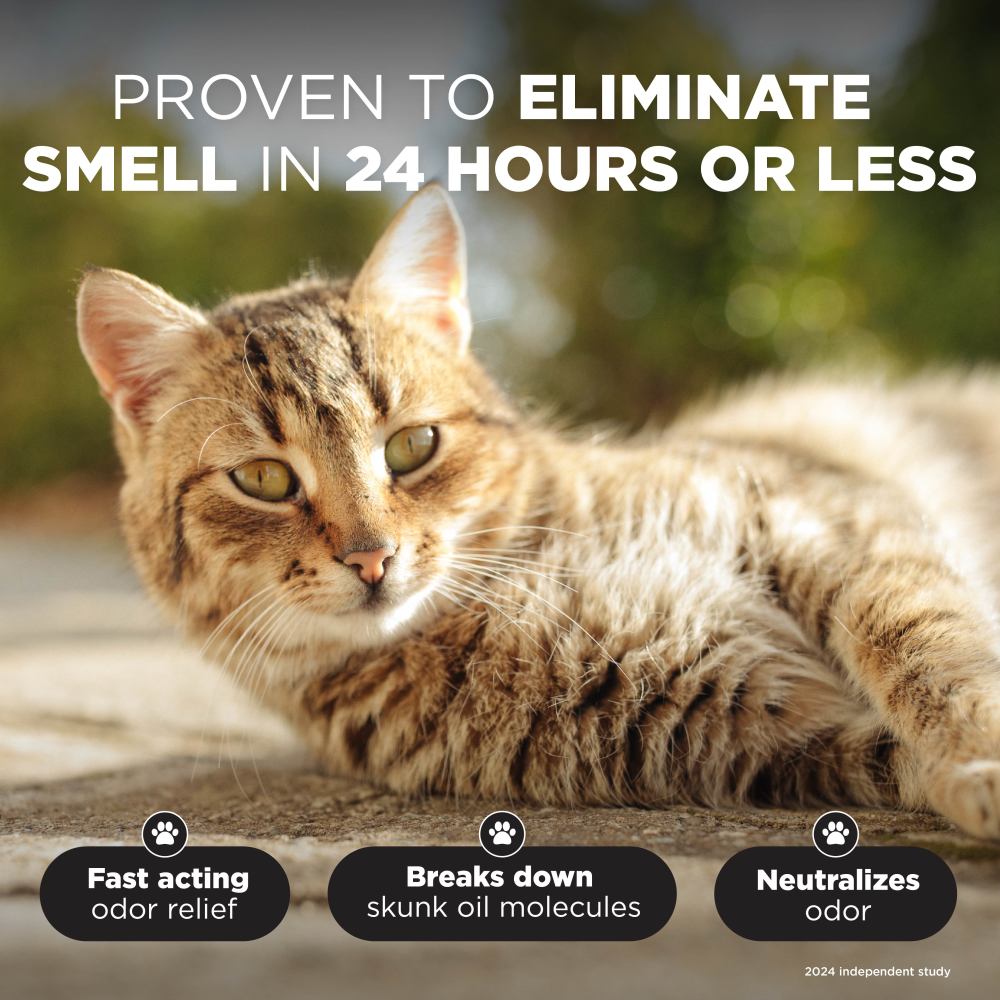 Cat lying on a wooden surface with text about odor elimination in 24 hours or less for TropiClean Skunk Odor Control Shampoo for Dogs & Cats.
