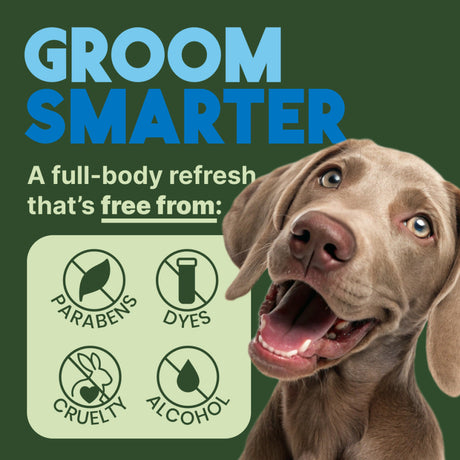 TropiClean Mild Coconut Dog & Cat Ear Cleaning Wipes ingredients, Dog with 'Groom Smarter' text and product benefits on a green background