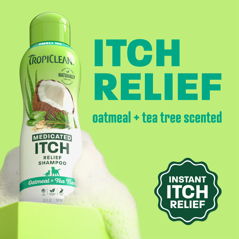 Itch relief shampoo on light green background.