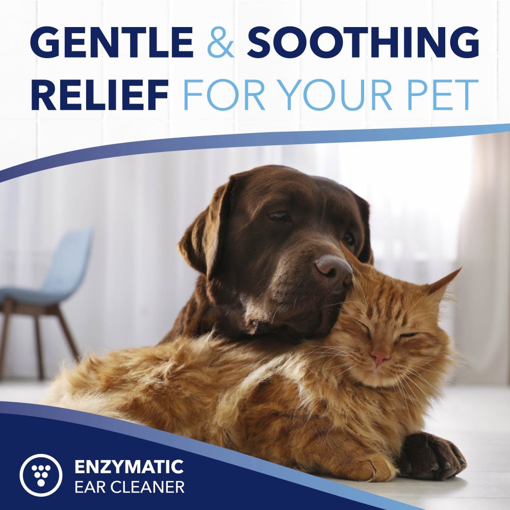 Dog and cat lying together with text 'Gentle & Soothing Relief for Your Pet' and 'Enzymatic Ear Cleaner' branding.