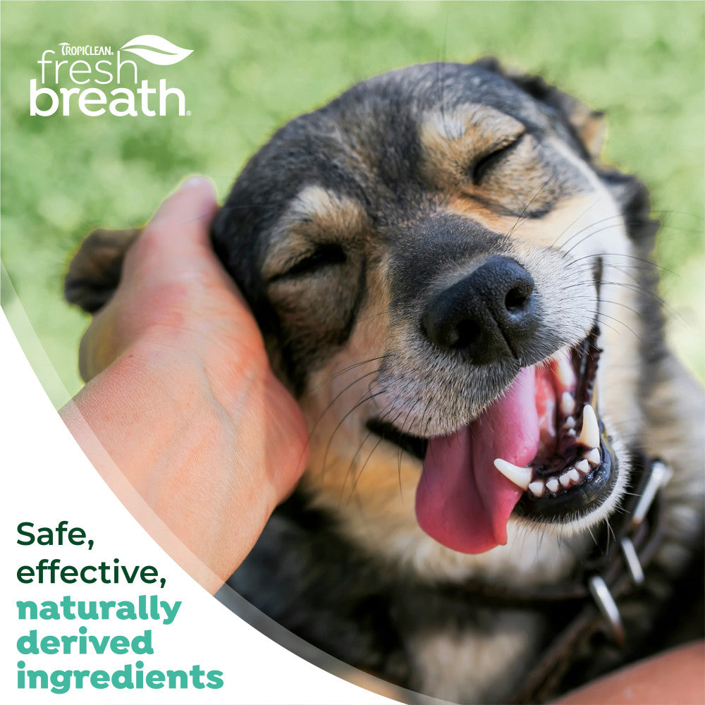 Dog with open mouth, tongue out, being petted by a hand on grass, with 'TropiClean Fresh Breath' branding.