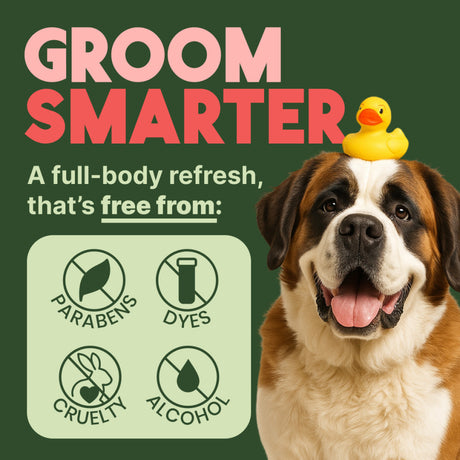 TropiClean Watermelon 2-In-1 Refreshing Wipes for Dogs & Cats. Dog with a rubber duck on its head and 'Groom Smarter' text on a green background