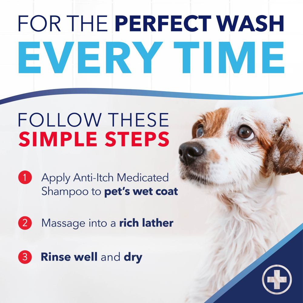 TropiClean OxyMed Medicated Anti Itch Shampoo for Pets advertisement with a dog's face and step-by-step instructions.