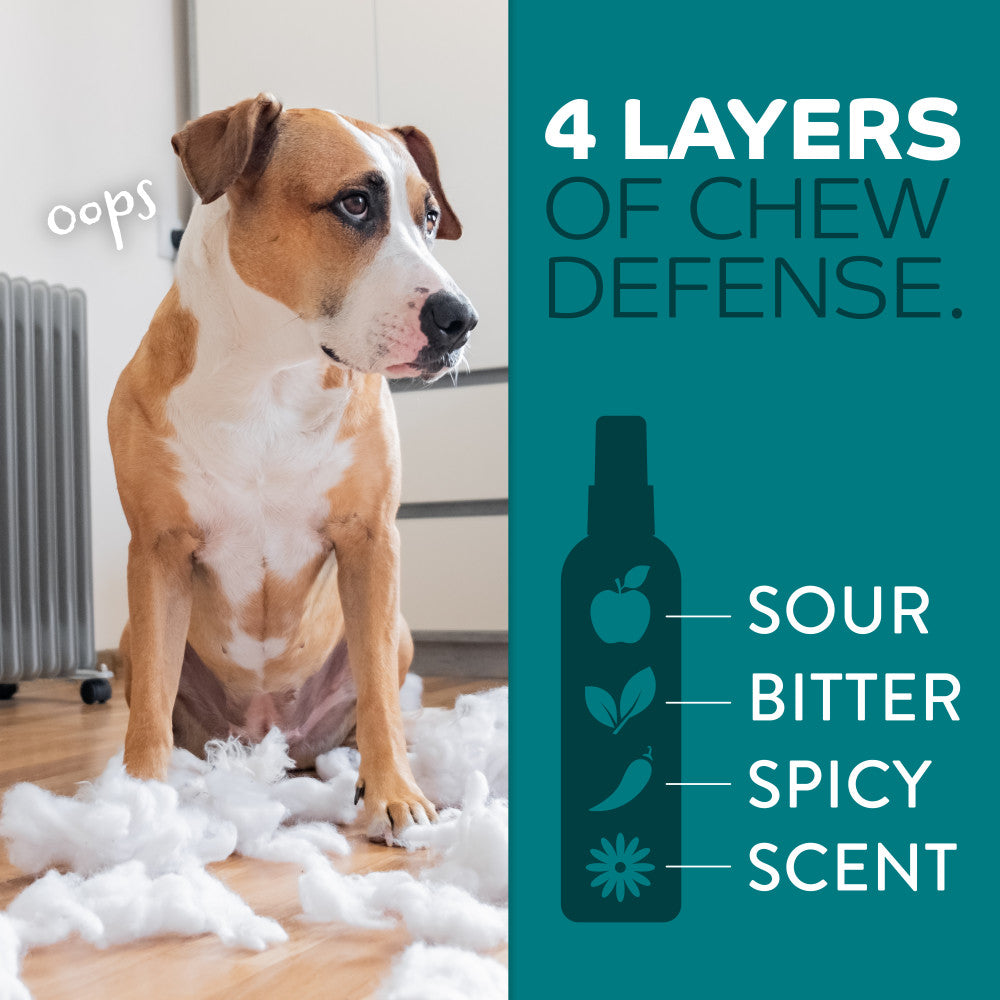 Dog sitting on a wooden floor with chewed-up items, next to a bottle with '4 Layers of Chew Defense' text and product features.