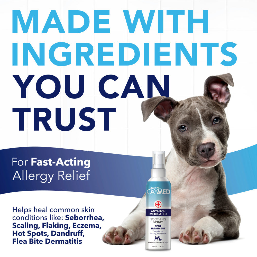 Dog with a bottle of TropiClean OxyMed Medicated Anti-itch Spray for Pets and text about fast-acting allergy relief.