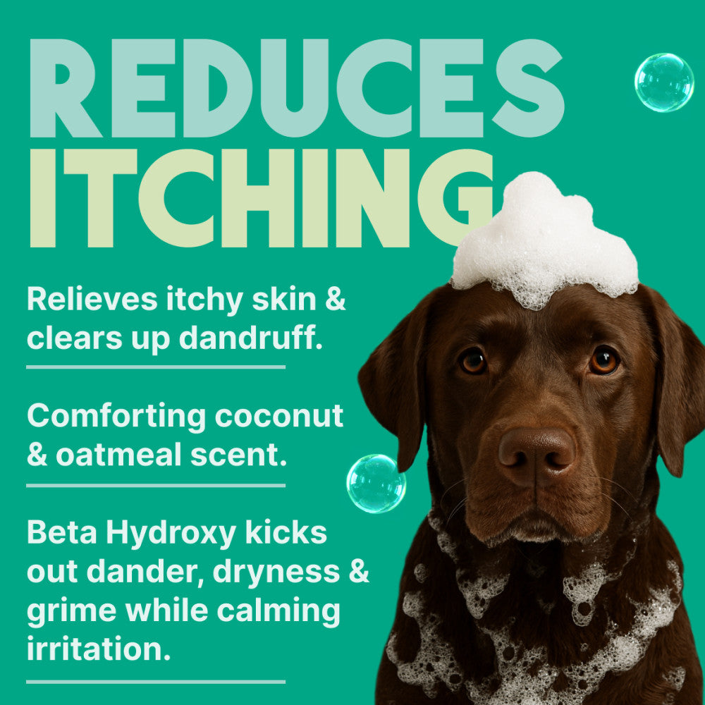 TropiClean Oatmeal & Tea Tree Medicated Itch Relief Shampoo for Pets. Dog with soap bubbles on a teal background with text about skin relief and dandruff clearance.