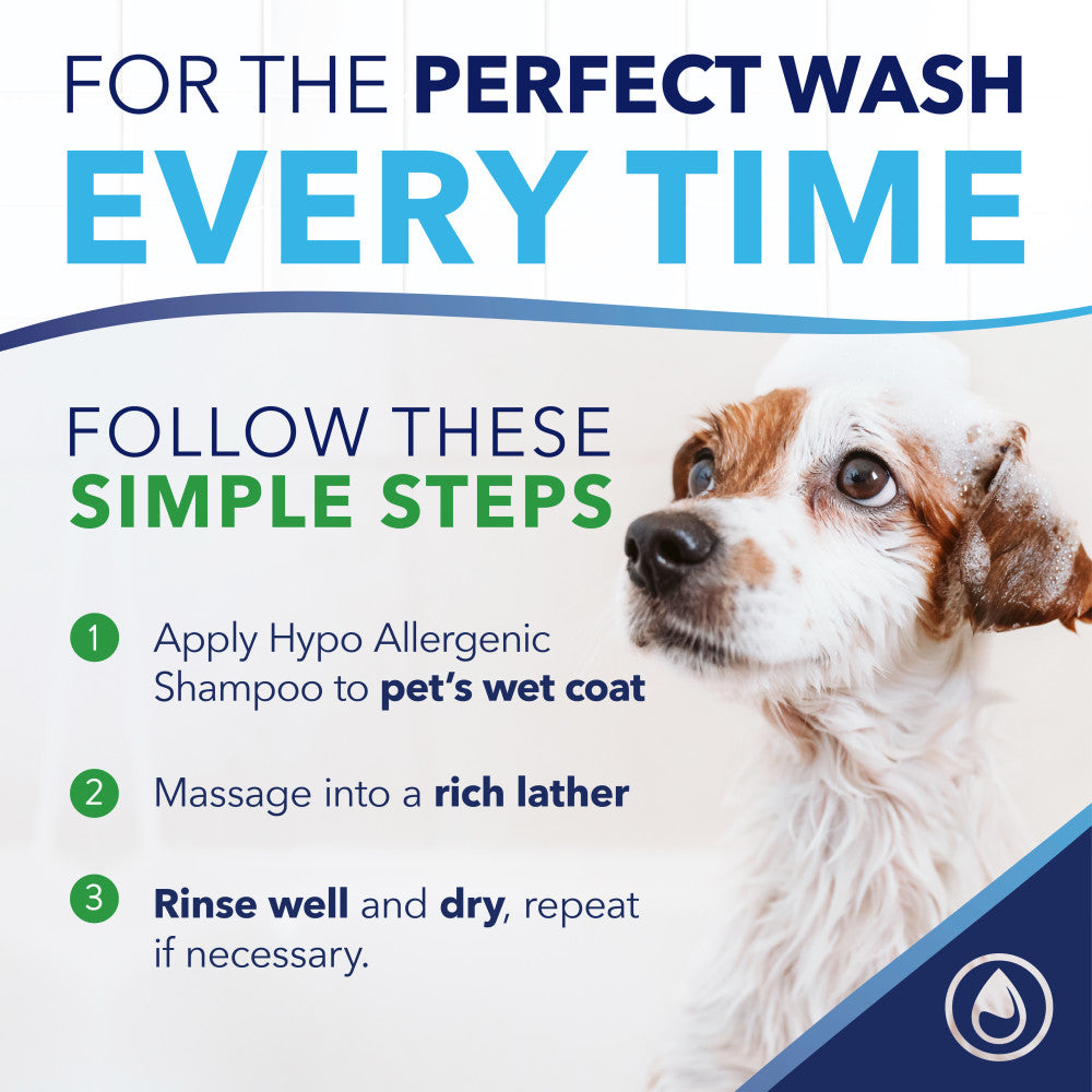 TropiClean OxyMed Hypoallergenic Oatmeal Shampoo for Dogs and Cats, instructions on how to use with a picture of a dog