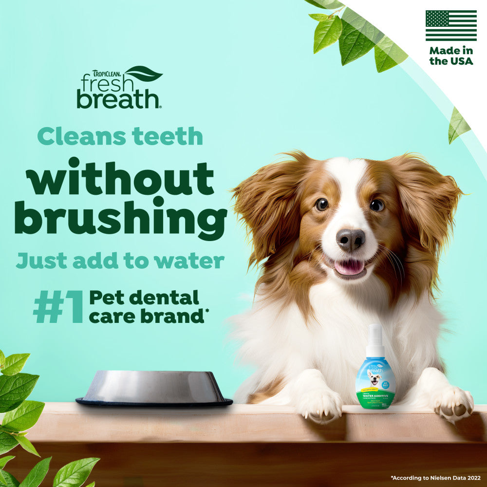 TropiClean Fresh Breath Dog Dental Water Additive Concentrate. Dog with a bottle of dental care product, featuring the brand 'Tropiclean Fresh Breath'.