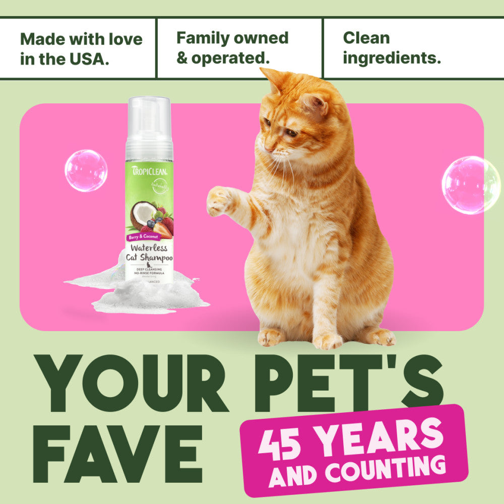 Cat with a bottle of pet shampoo on a pink mat, with text about product features and longevity.