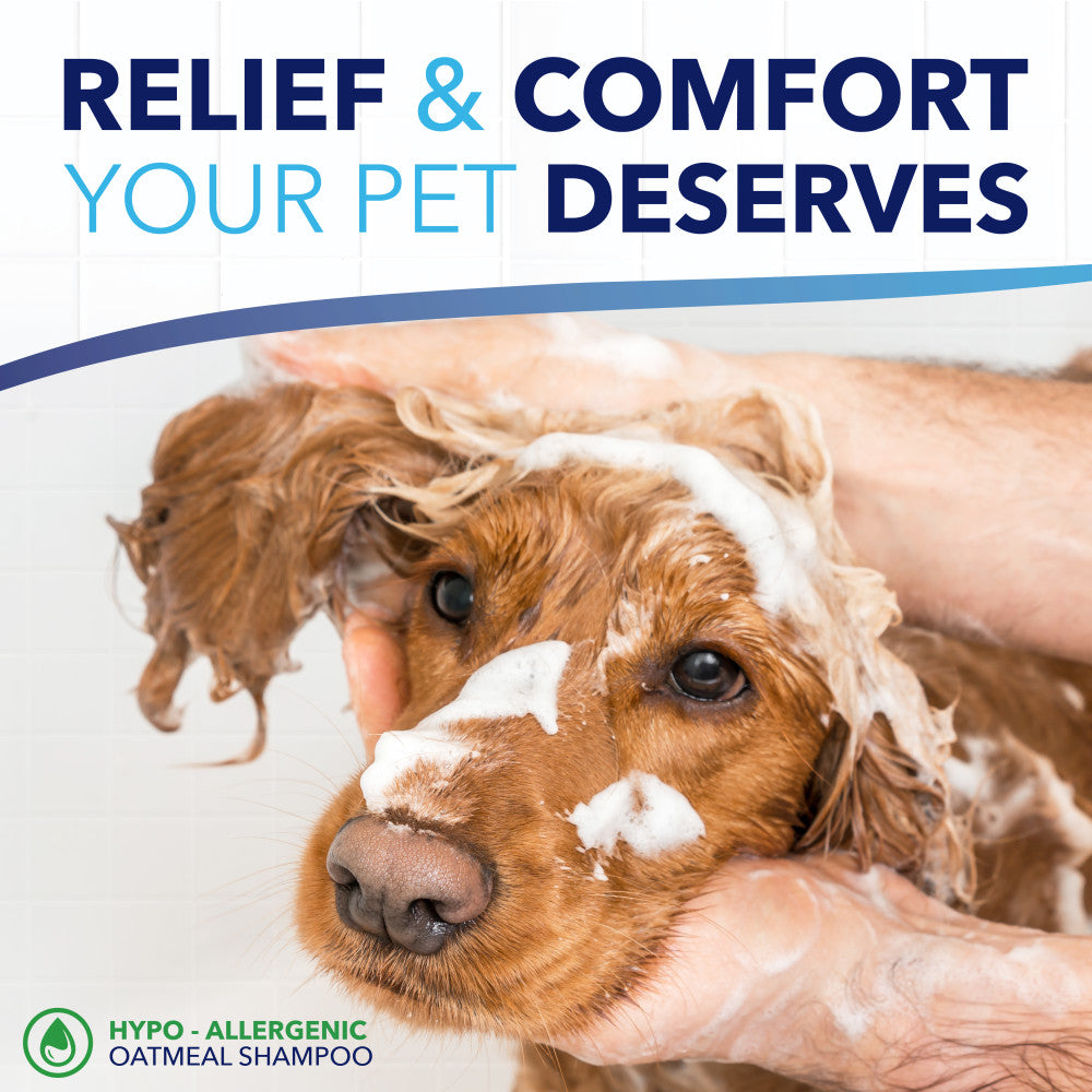 Dog being bathed with a focus on relief and comfort, featuring text about TropiClean OxyMed hypo-allergenic oatmeal shampoo.