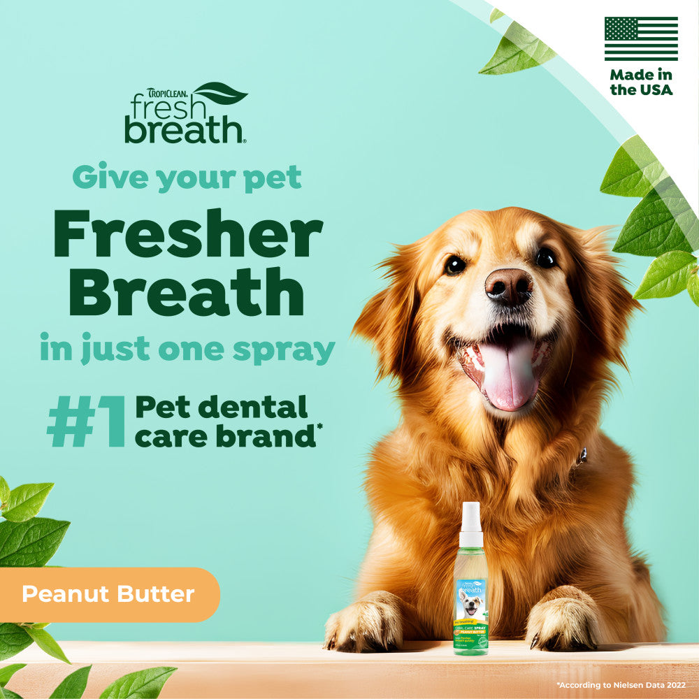 Dog with TropiClean Fresh Breath Peanut Butter Oral Care Spray for Pets and text about pet dental care
