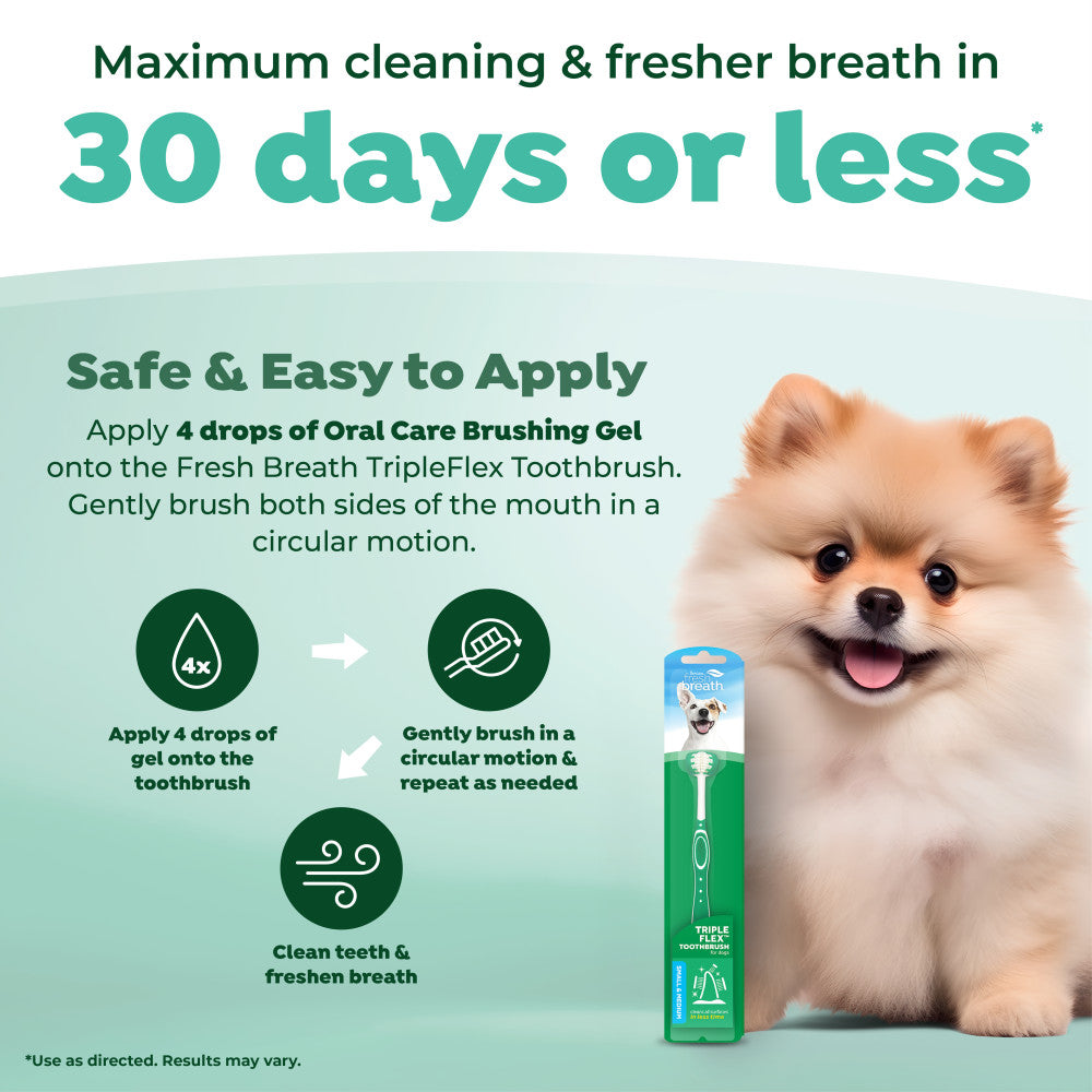 Dog with a TropiClean Fresh Breath Dog Toothbrush, image of front of package on a light green background, promoting dental care for dogs.