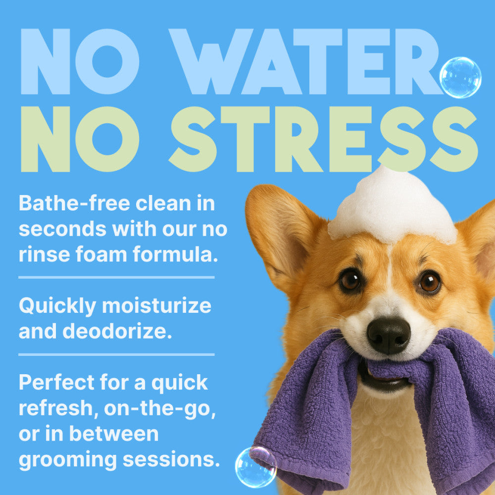 Dog with a towel and foam with text about a no water, no stress product.