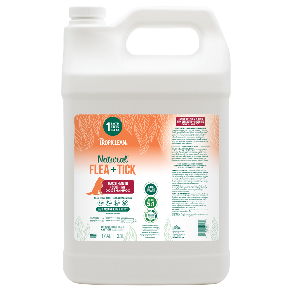 TropiClean Natural Flea and Tick Maximum Strength Shampoo for Dogs, 1 gal bottle.