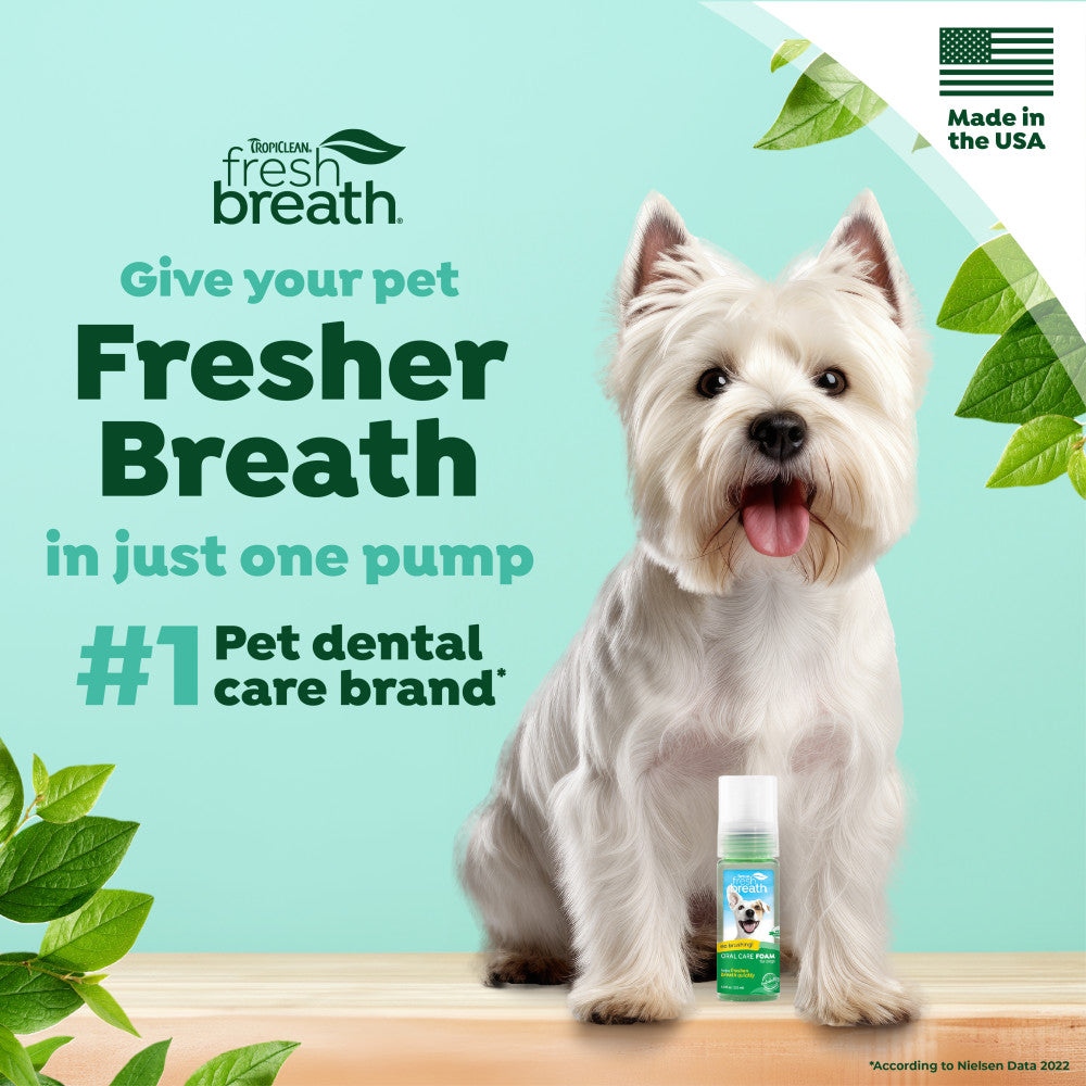 TropiClean Fresh Breath Mint Foam for Dogs. Dog with fresh breath product and promotional text