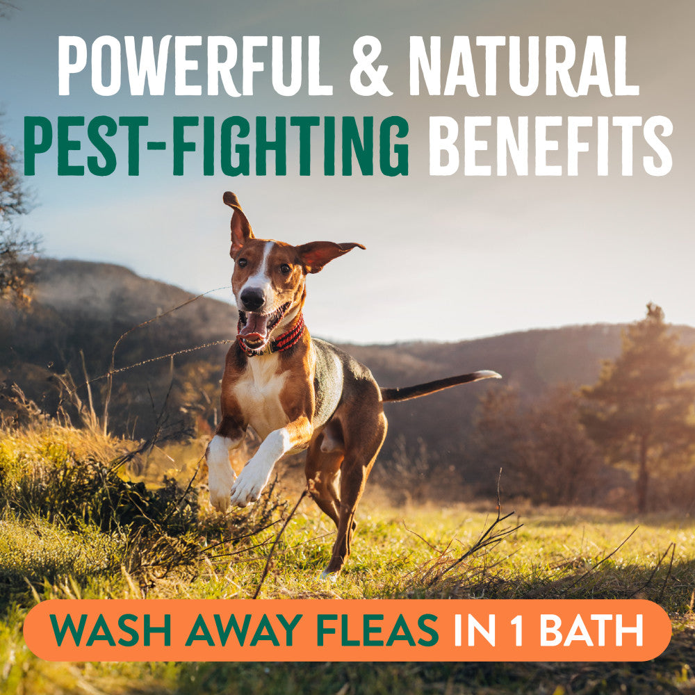 Dog running in a field with text about pest-fighting benefits and flea removal by TropiClean