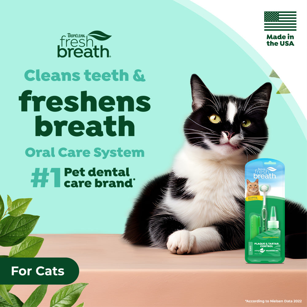 Cat with TropiClean Fresh Breath Plaque & Tartar Control Kit for Cats