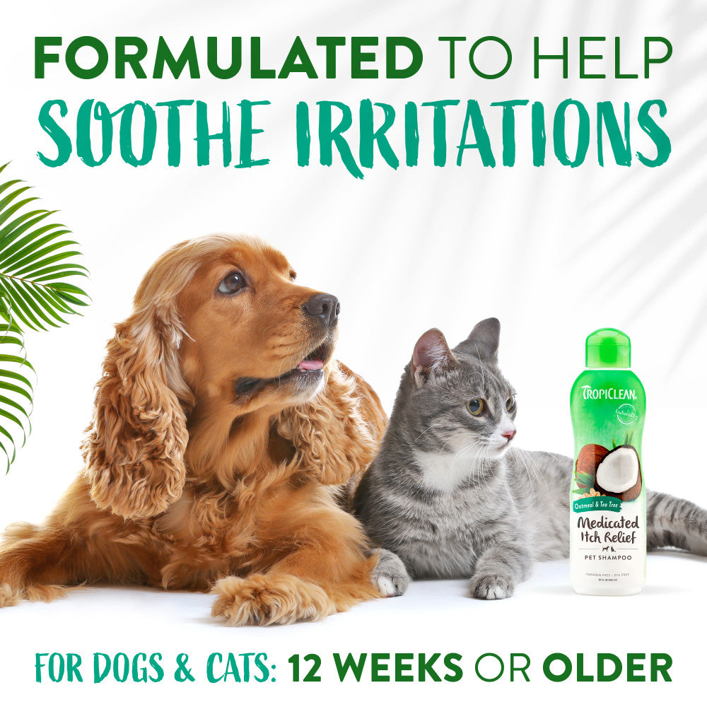 Dog and cat with a bottle of TropiClean Oatmeal & Tea Tree Medicated Itch Relief Shampoo for Pets 12 weeks and older.