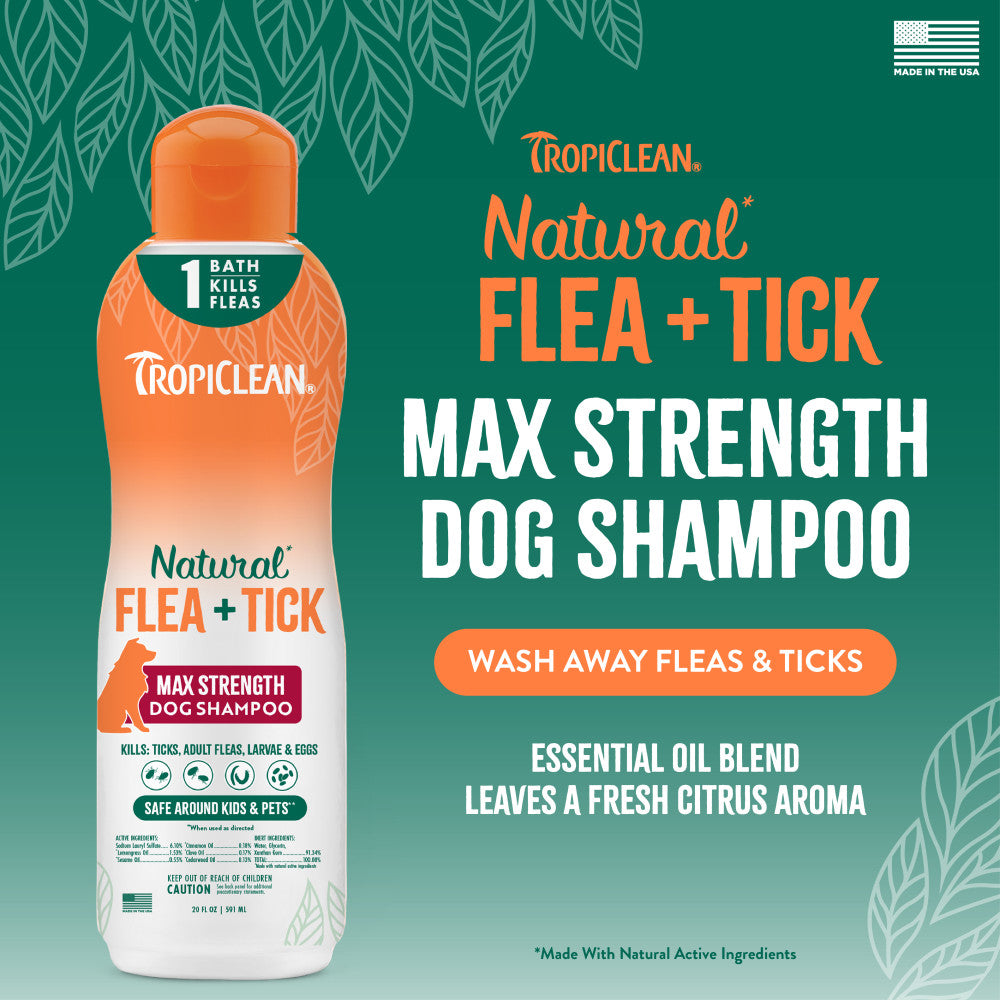 TropiClean Natural Flea and Tick Maximum Strength Shampoo for Dogs bottle on a green background with text.