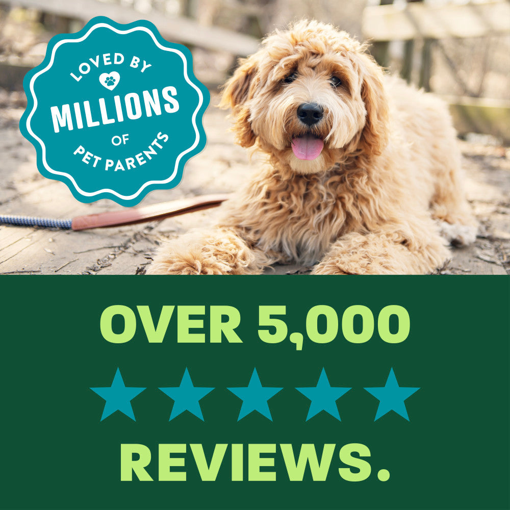 TropiClean Cleansing Ear Wipes, 50ct - 4 Pack