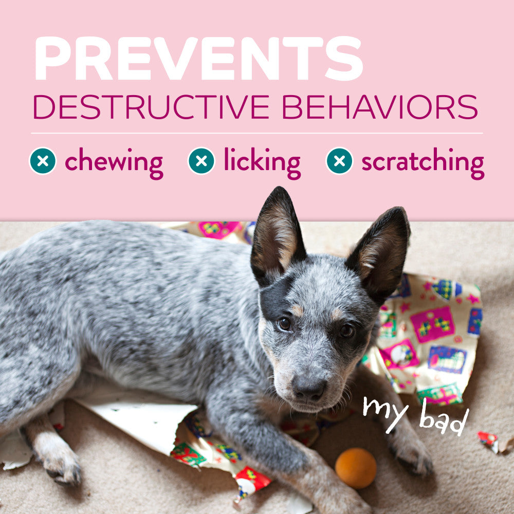 TropiClean Chew Stop Behavior Aid Puppy Spray. Dog lying on a carpet with text about preventing destructive behaviors