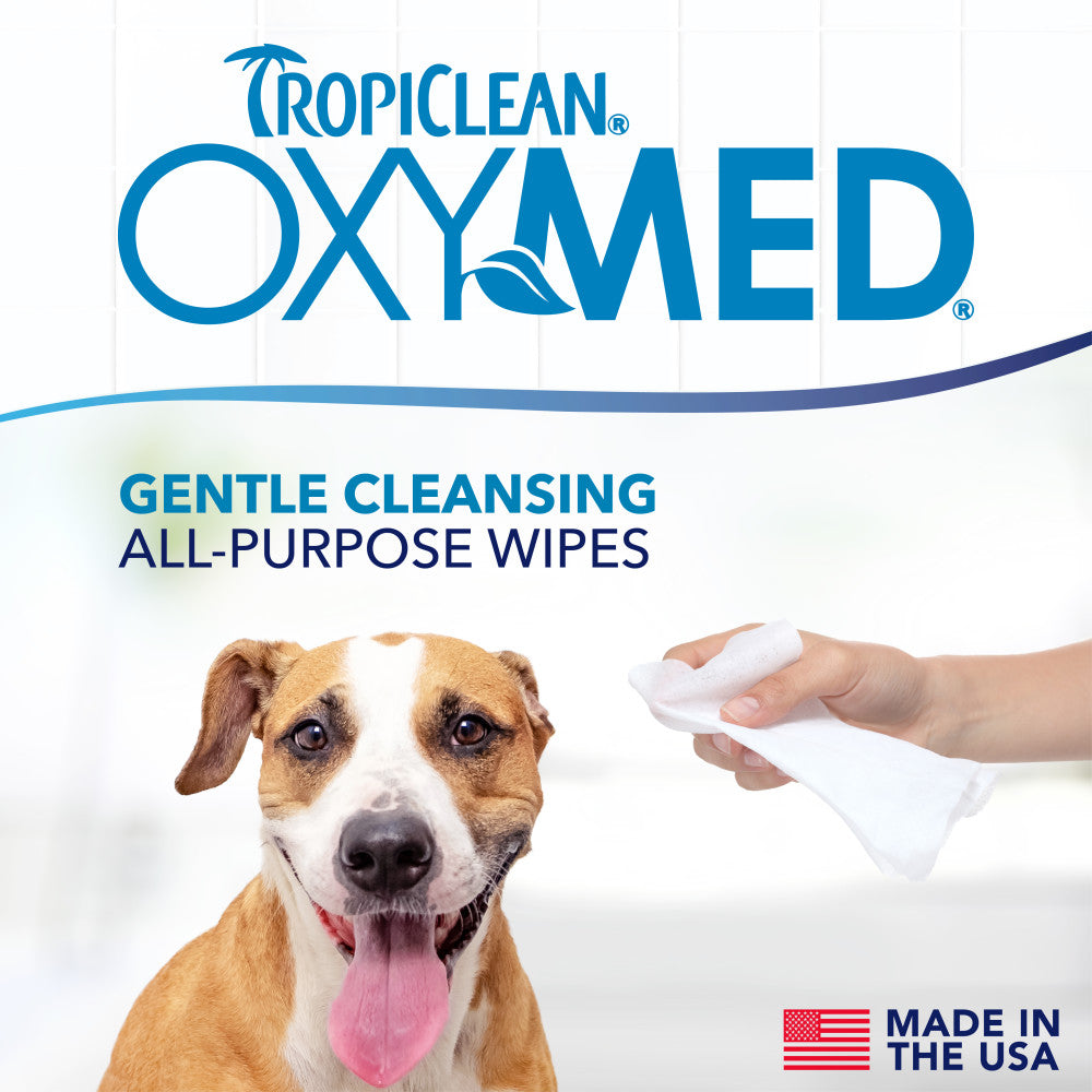 TropiClean OxyMed all-purpose wipes with a dog and hand holding a wipe