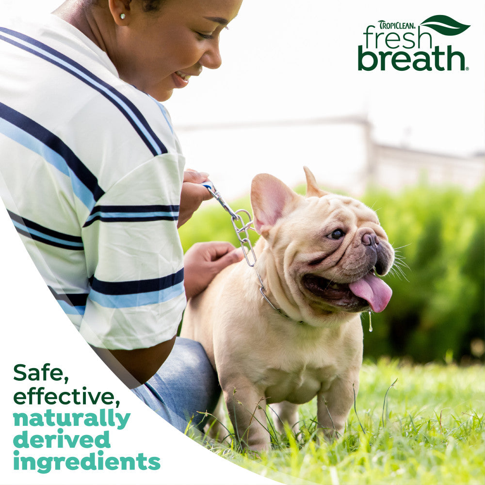 Person petting a dog in a grassy area with TropiClean Fresh Breath Dog Toothbrush branding.