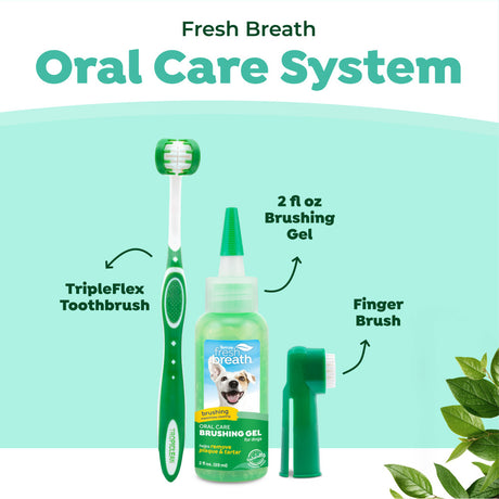 Dog oral care system with toothbrush, brushing gel, and finger brush on a light green background.