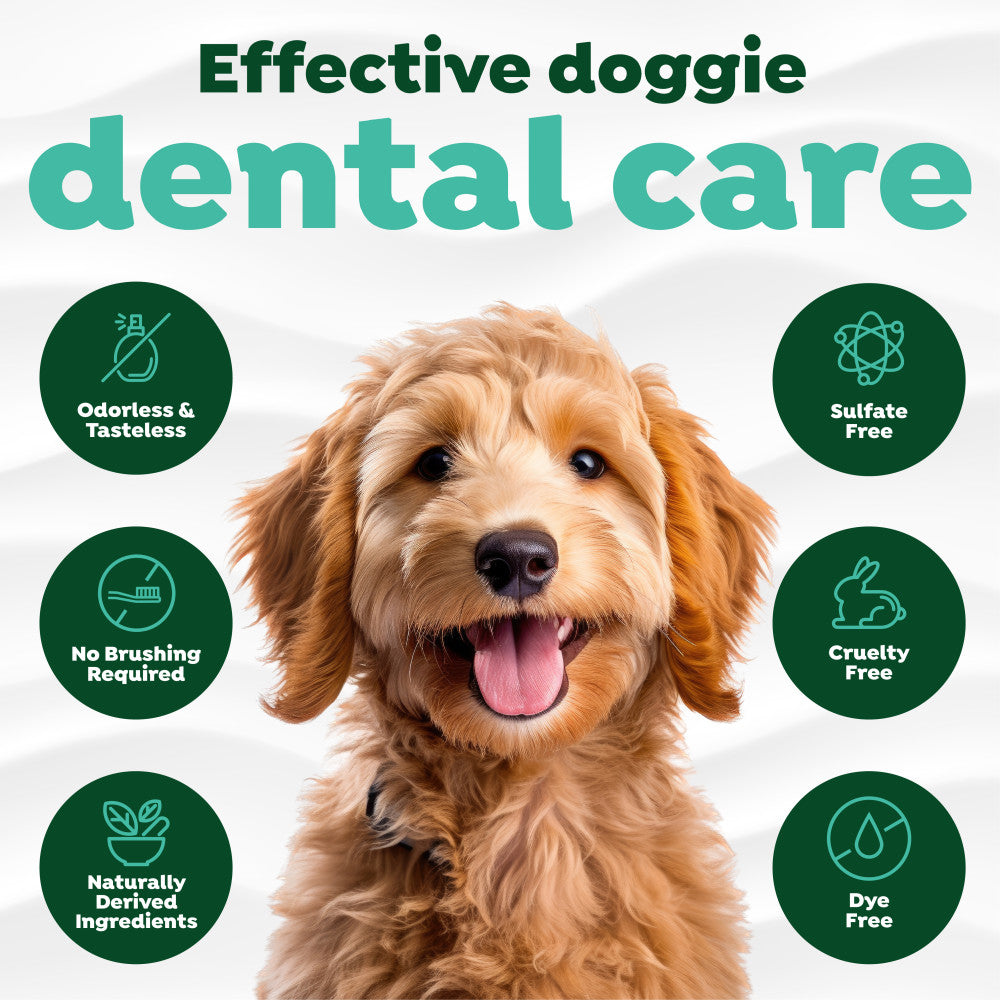 Dog with TropiClean Fresh Breath Dental Water Additive Plus Gut Health for Dogs with features