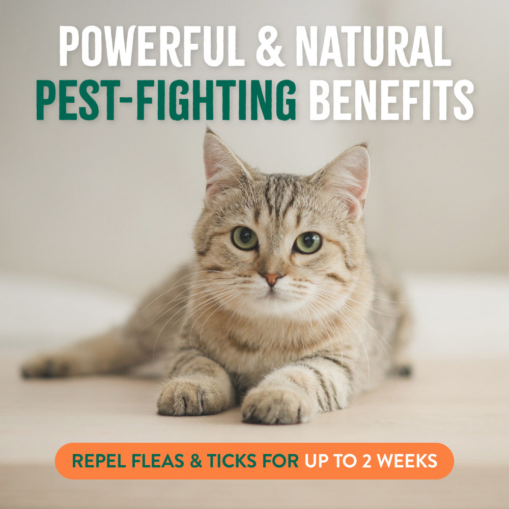 TropiClean Natural Flea + Tick Home + Cat Spray. Cat lying on a surface with text about pest-fighting benefits and flea tick repellent.