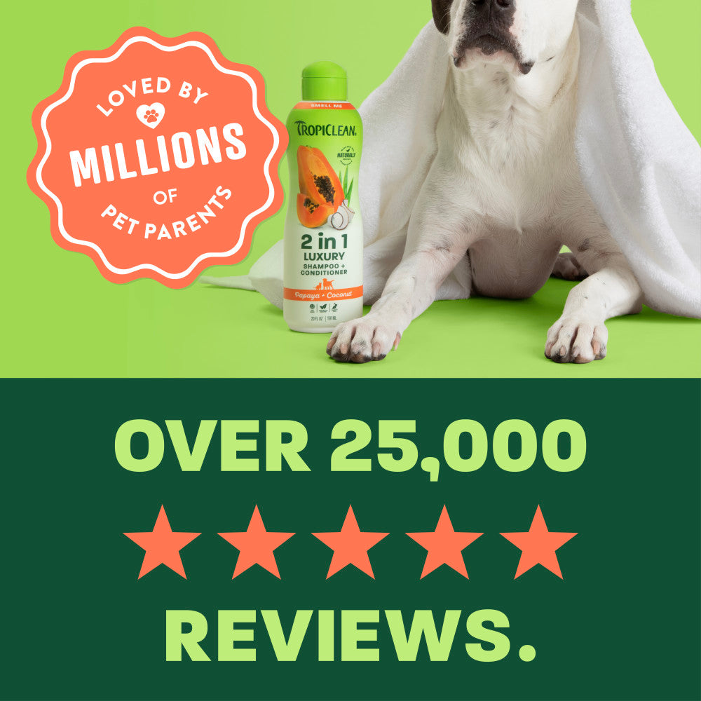 White dog with towel on light green and green background, "Loved by millions" 5 star reviews.