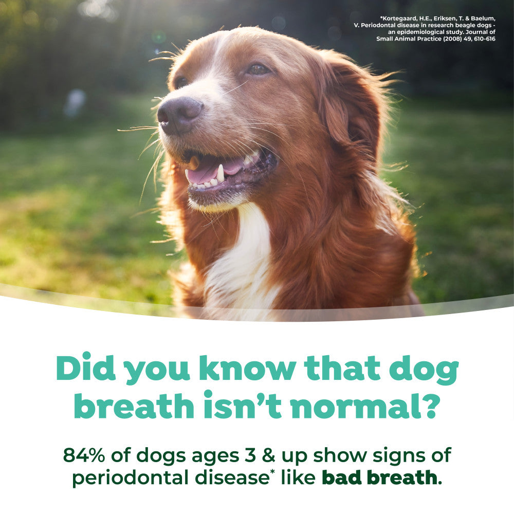 TropiClean Fresh Breath Dog Dental Water Additive Concentrate. Dog with text about dog breath and periodontal disease