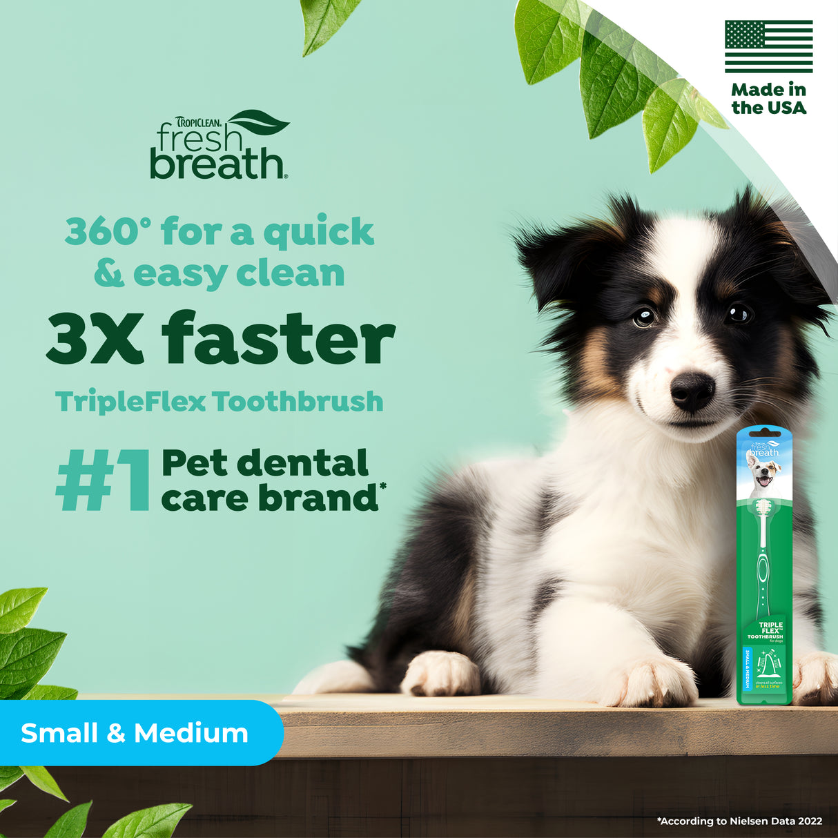 Dog with a toothbrush and dental care product packaging on a green background, featuring Fresh Breath brand.