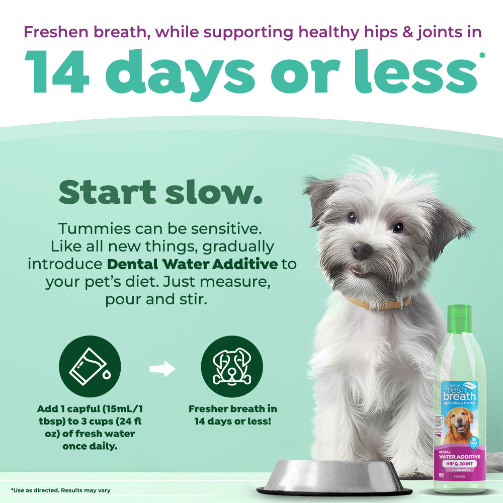 Dog with Fresh Breath by TropiClean Oral Care Water Additive Plus Hip & Joint for Pets bottle and text about freshening breath and supporting healthy hips & joints.