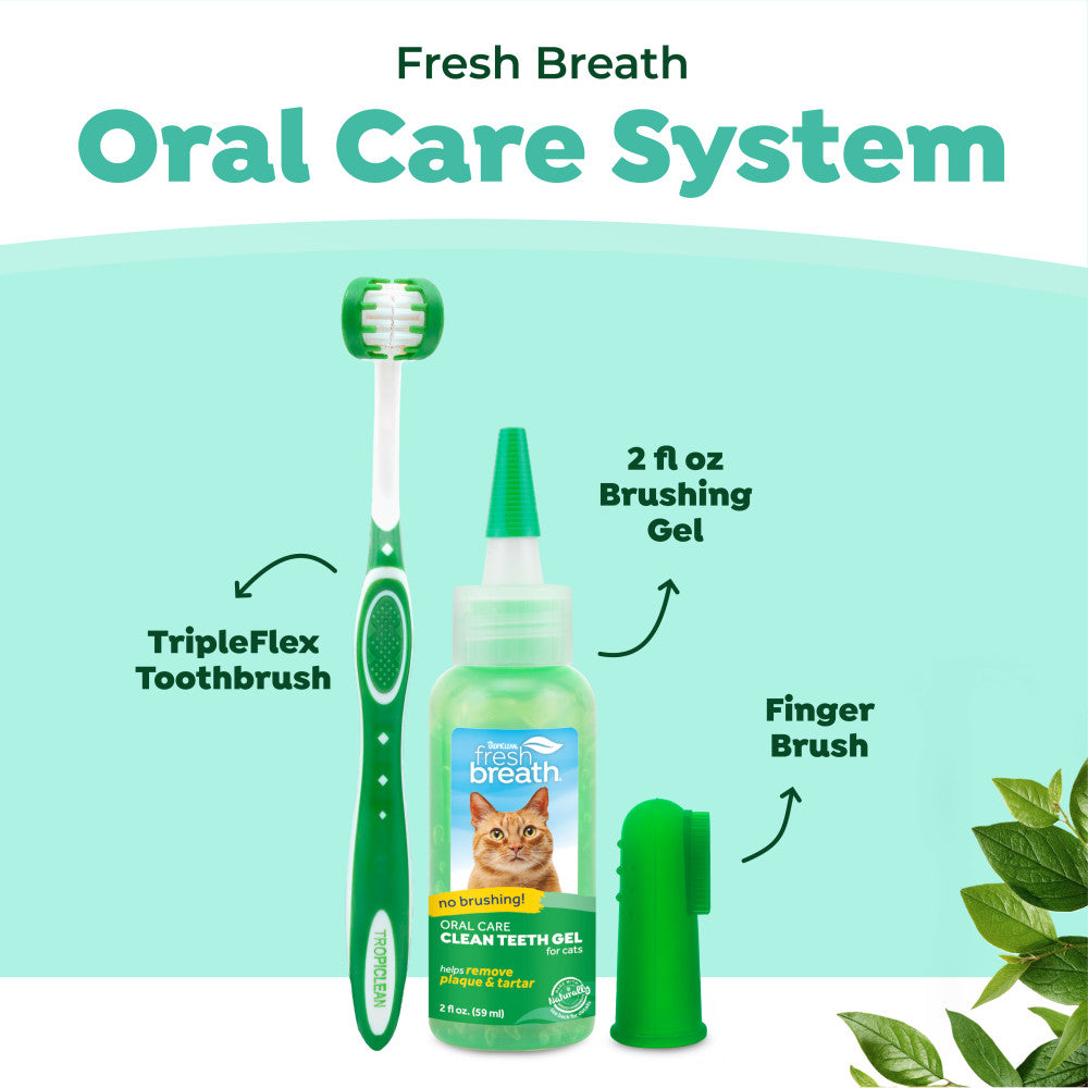 Cat oral care system with toothbrush, brushing gel, and finger brush