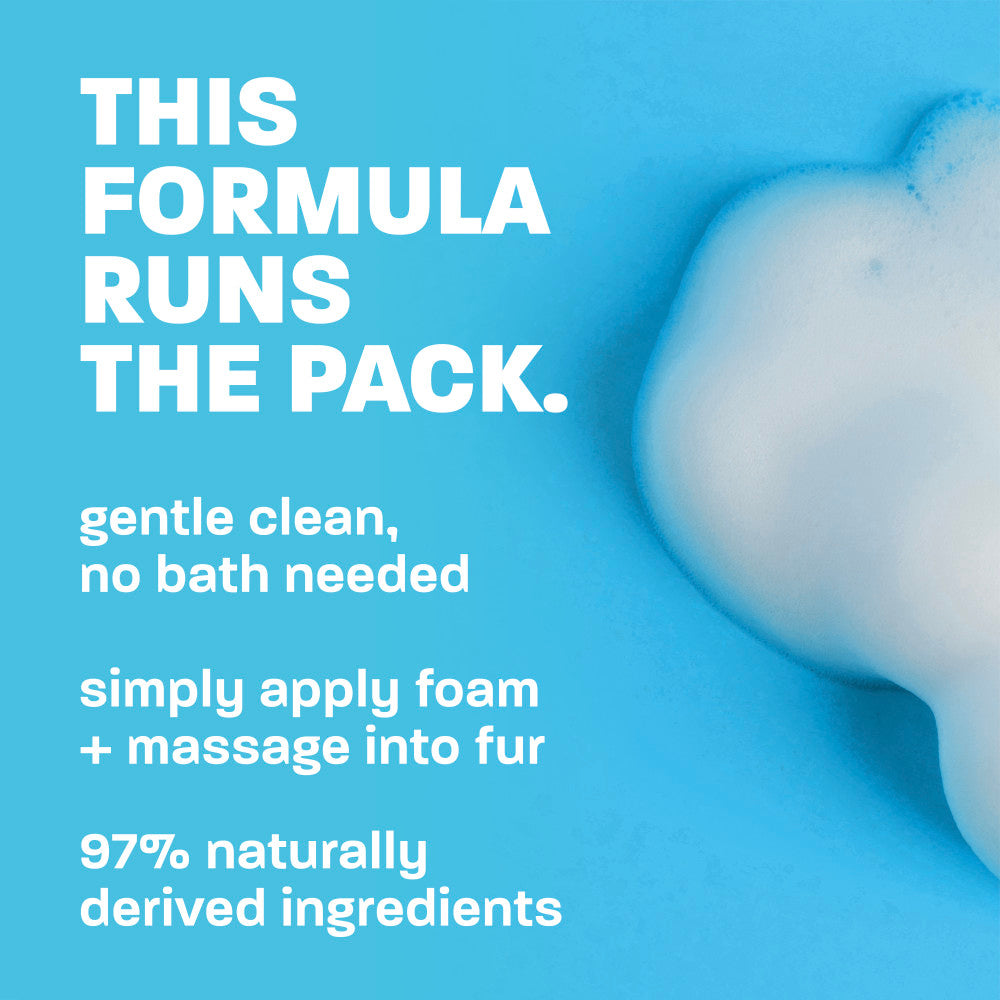 This formula runs the pack.