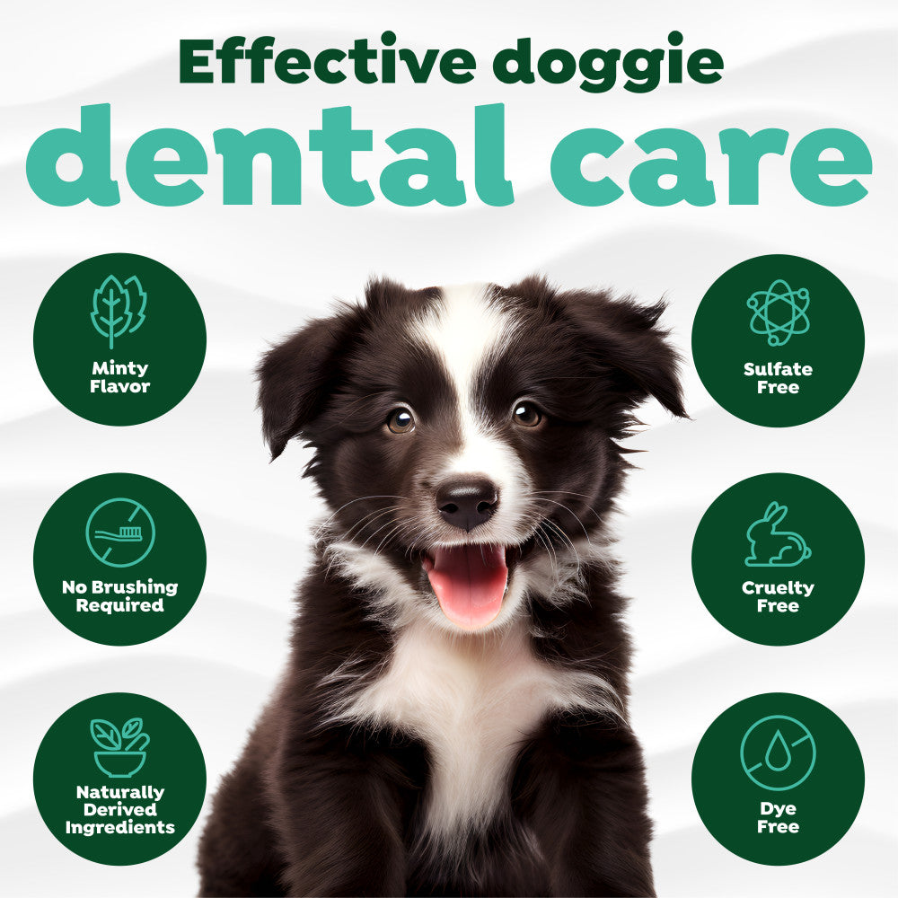 Dog with TropiClean Fresh Breath Dental Gel for Puppies features on a white background