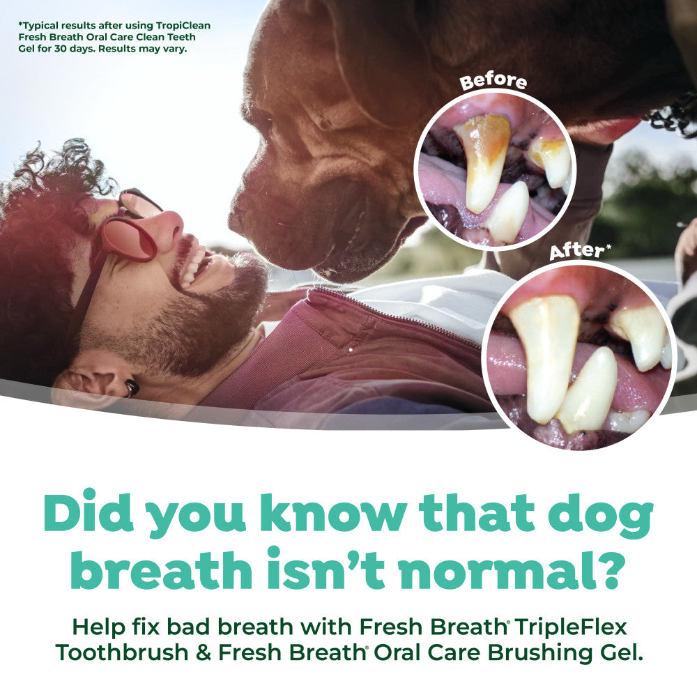 Advertisement for Fresh Breath TripleFlex Toothbrush and Oral Care showing a man and dog with teeth before and after images.