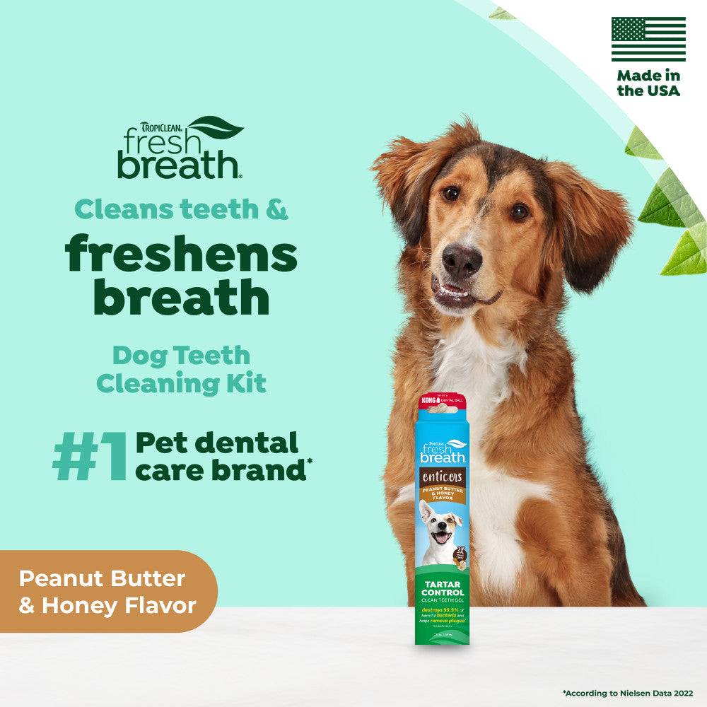 Fresh Breath Enticers Peanut Butter & Honey Tartar Control Dog Toothpaste by TropiClean. Dog with product packaging on a light blue background