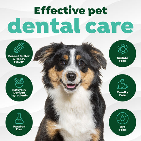 Fresh Breath Enticers Peanut Butter & Honey Tartar Control Dog Toothpaste by TropiClean.  Dog with 'Effective pet dental care' text and icons on a white background