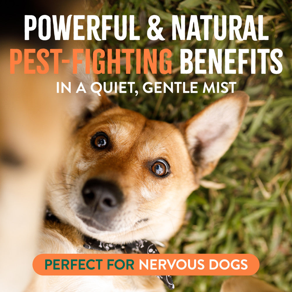 TropiClean Natural Flea + Tick Dog + Home Easy Mist Spray. Dog in grass with text about pest-fighting benefits and being perfect for nervous dogs