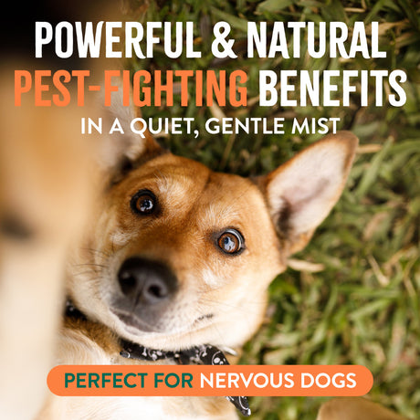 TropiClean Natural Flea + Tick Dog + Home Easy Mist Spray. Dog in grass with text about pest-fighting benefits and being perfect for nervous dogs